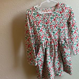 Cat & Jack (4/5) dress